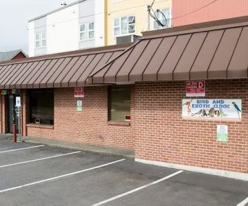 Bird & Exotic Clinic of Seattle