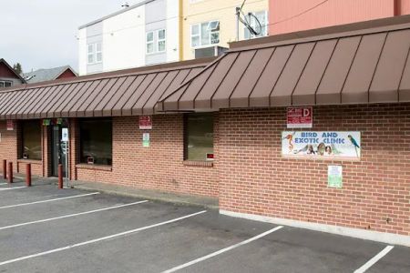 Bird & Exotic Clinic of Seattle