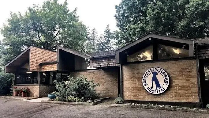 Northeast Veterinary Hospital 12