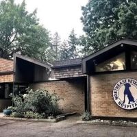 Northeast Veterinary Hospital ico