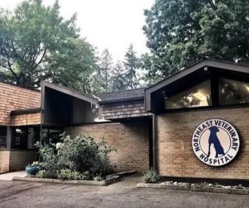 Northeast Veterinary Hospital