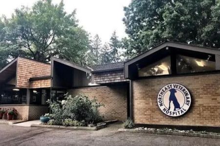 Northeast Veterinary Hospital