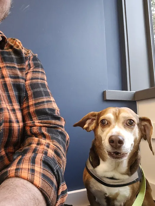 Northeast Veterinary Hospital 12