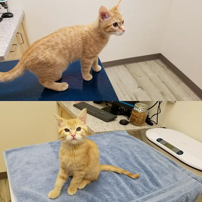 Cascade Pet Hospital 2
