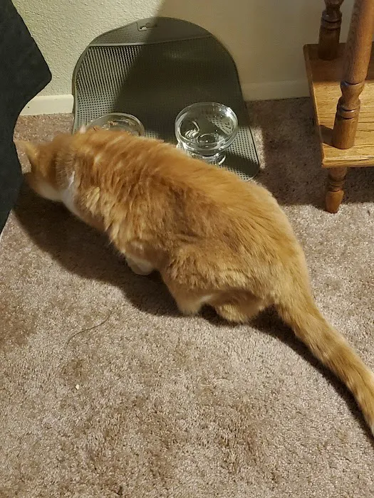 Cascade Pet Hospital 9