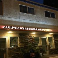 Aurora Veterinary Hospital ico