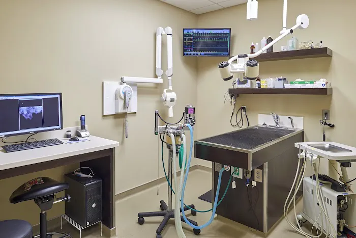 Plantation Animal Clinic, A Thrive Pet Healthcare Partner 5
