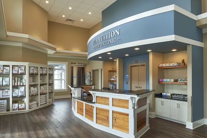 Plantation Animal Clinic, A Thrive Pet Healthcare Partner 4