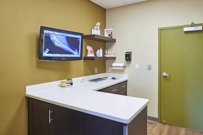 Plantation Animal Clinic, A Thrive Pet Healthcare Partner 2