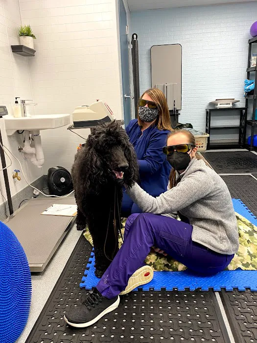 Healing Pups Charlotte 5