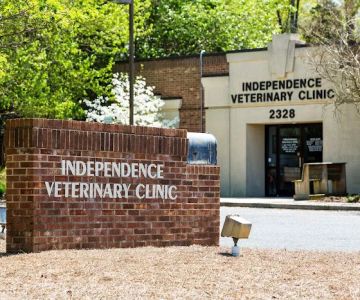 Independence Veterinary Clinic