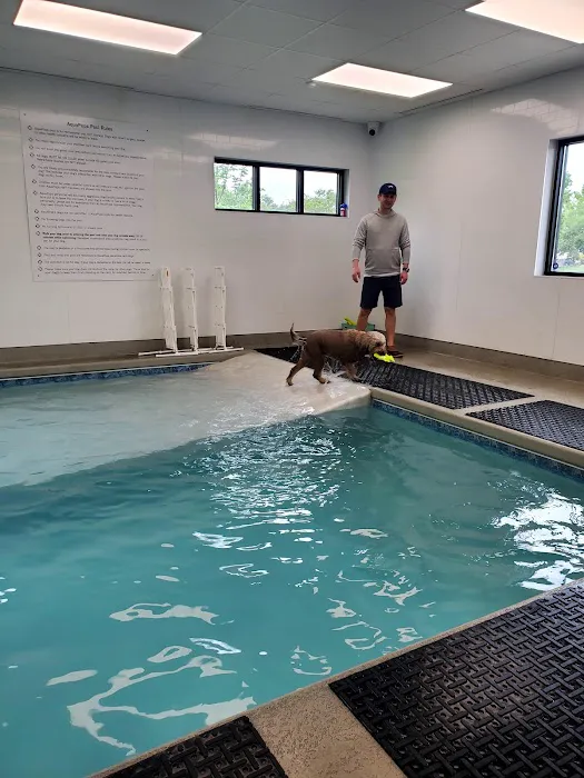 Independence Veterinary Clinic 12
