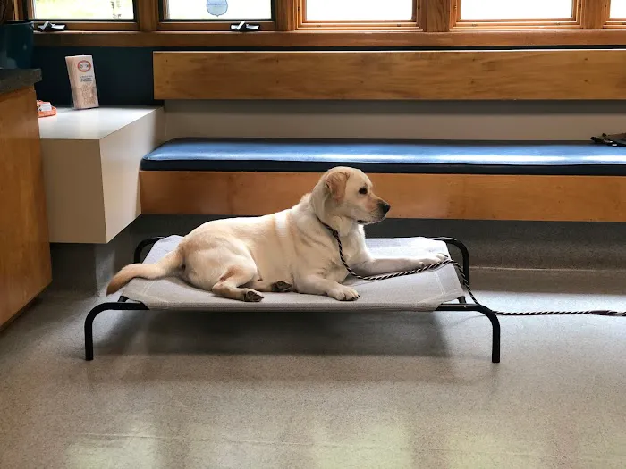Independence Veterinary Clinic 12