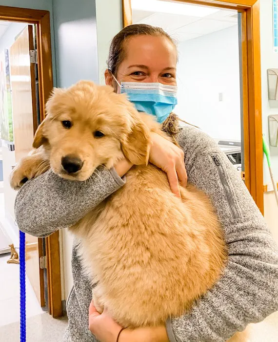 Independence Veterinary Clinic 12