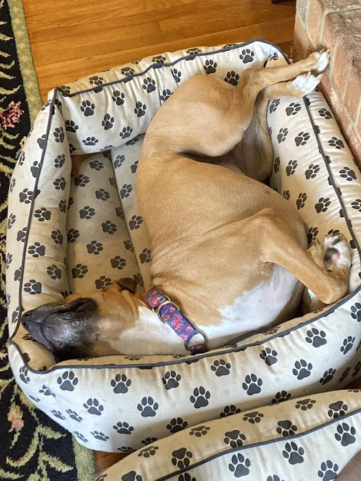 Compassionate Care Veterinary Hospital of Charlotte 4