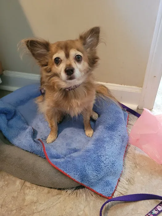 Banfield Pet Hospital 3