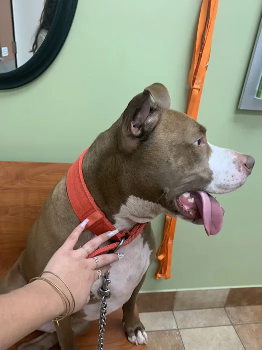 Banfield Pet Hospital 9