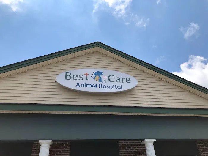 Best Care Animal Hospital Matthews & Charlotte 2