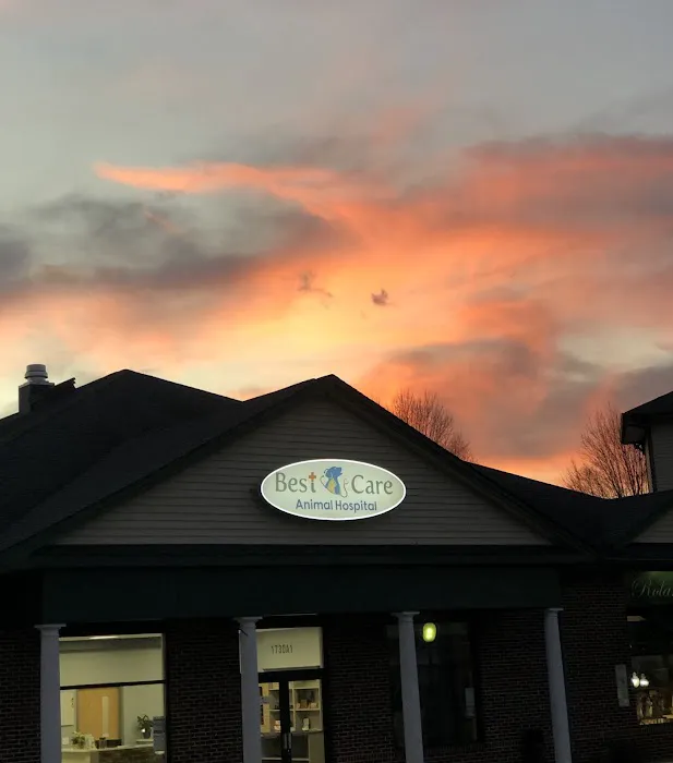 Best Care Animal Hospital Matthews & Charlotte 10