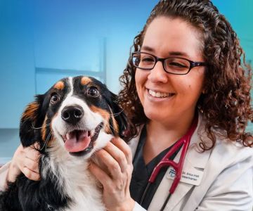 NewDay Veterinary Care