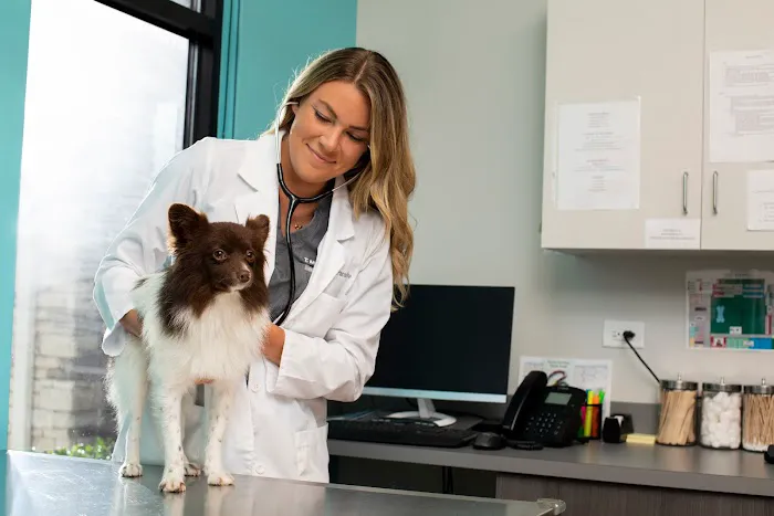 NewDay Veterinary Care 12