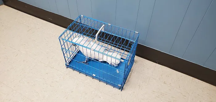 Animal Care Hospital of Matthews 12