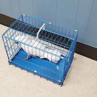 Animal Care Hospital of Matthews ico