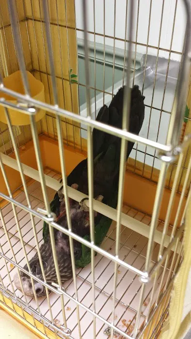 Animal Care Hospital of Matthews 12