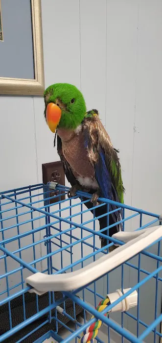 Animal Care Hospital of Matthews 12