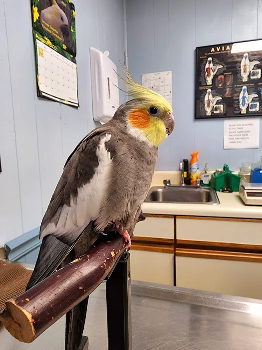 Animal Care Hospital of Matthews 12