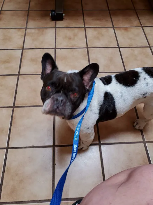 Aldine Mail Route Animal Hospital 12