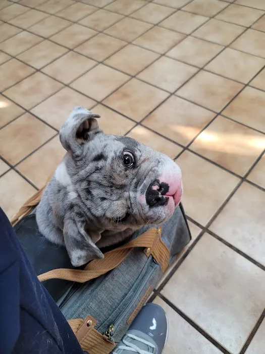Aldine Mail Route Animal Hospital 12