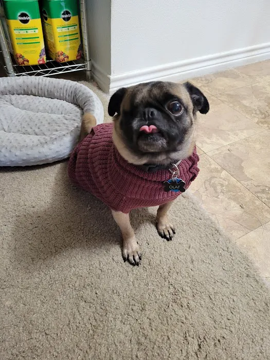 North Loop Pet Clinic 7