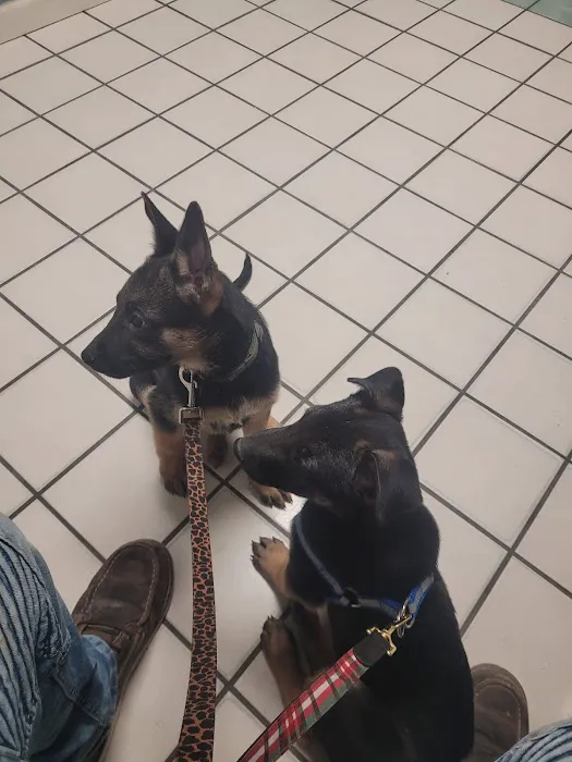 North Loop Pet Clinic 4