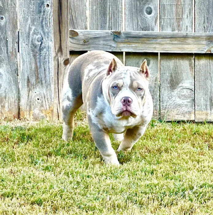 Garza Veterinary Clinic 12