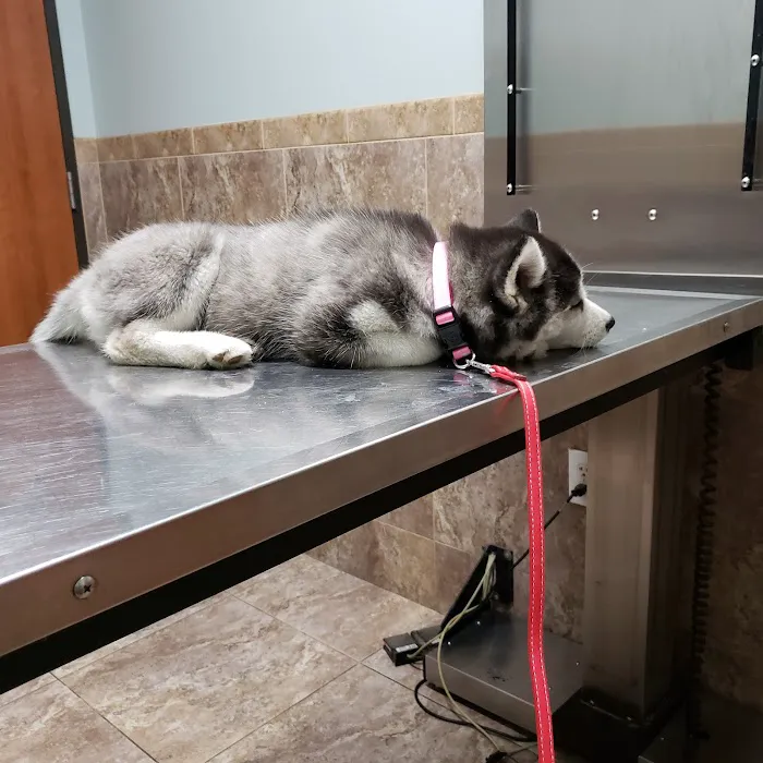 Garza Veterinary Clinic 12