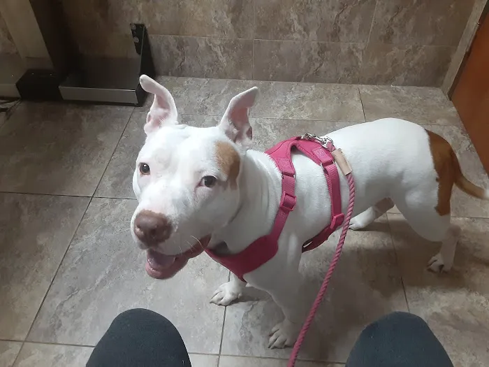 Garza Veterinary Clinic 12
