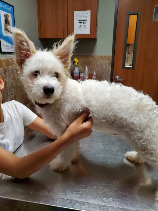 Garza Veterinary Clinic 12