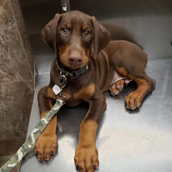 Garza Veterinary Clinic 12