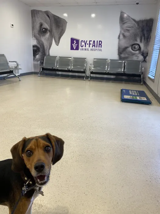 Cy-Fair Animal Hospital 5