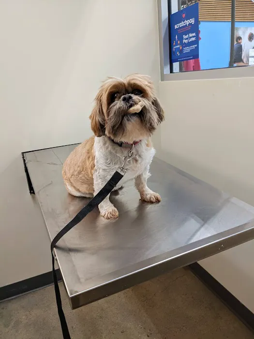 Vetco Total Care Animal Hospital 12