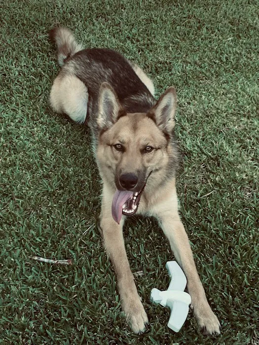 Garden Oaks Veterinary Center 2