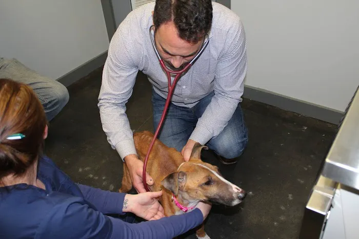 Garden Oaks Veterinary Center 7