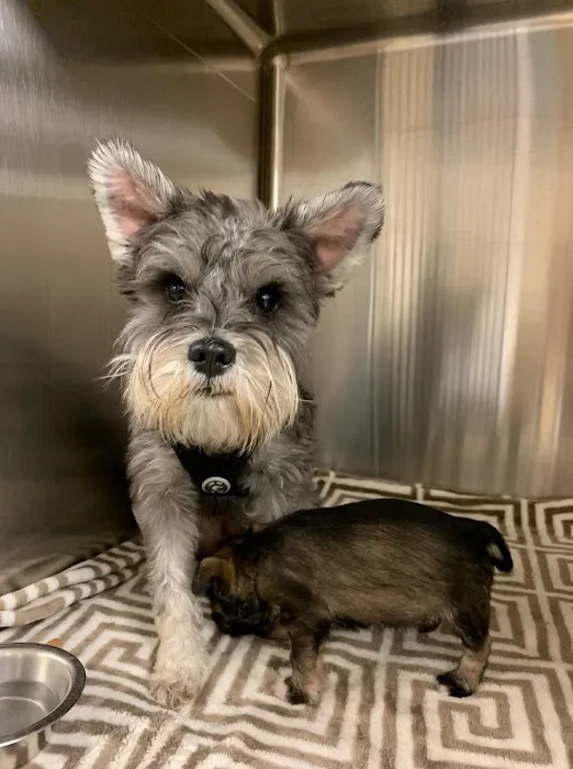 Heights Hospital for Animals 12