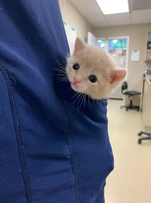 Heights Hospital for Animals 12