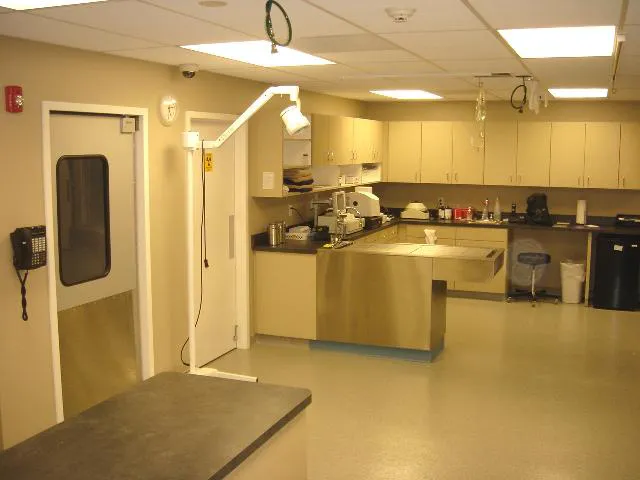 Heights Hospital for Animals 12