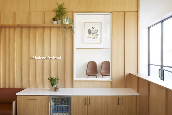 Modern Animal Veterinary Care 12