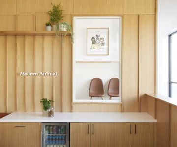 Modern Animal Veterinary Care