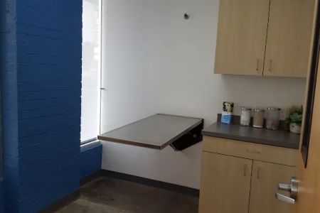 Thrive Pet Healthcare - The Heights