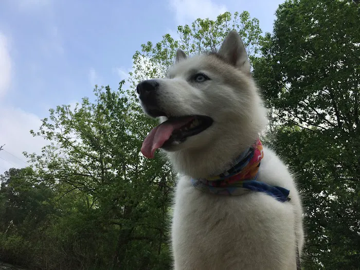 Thrive Pet Healthcare - The Heights 12